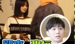 张恒与郑爽的爆料视频播放,揭秘娱乐圈背后的真相